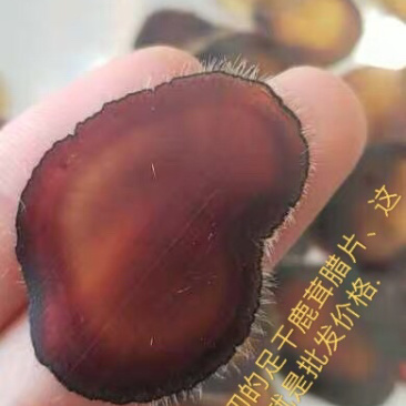鹿茸片腊片足干东北吉林长春梅花鹿腊片足干腊片包邮
