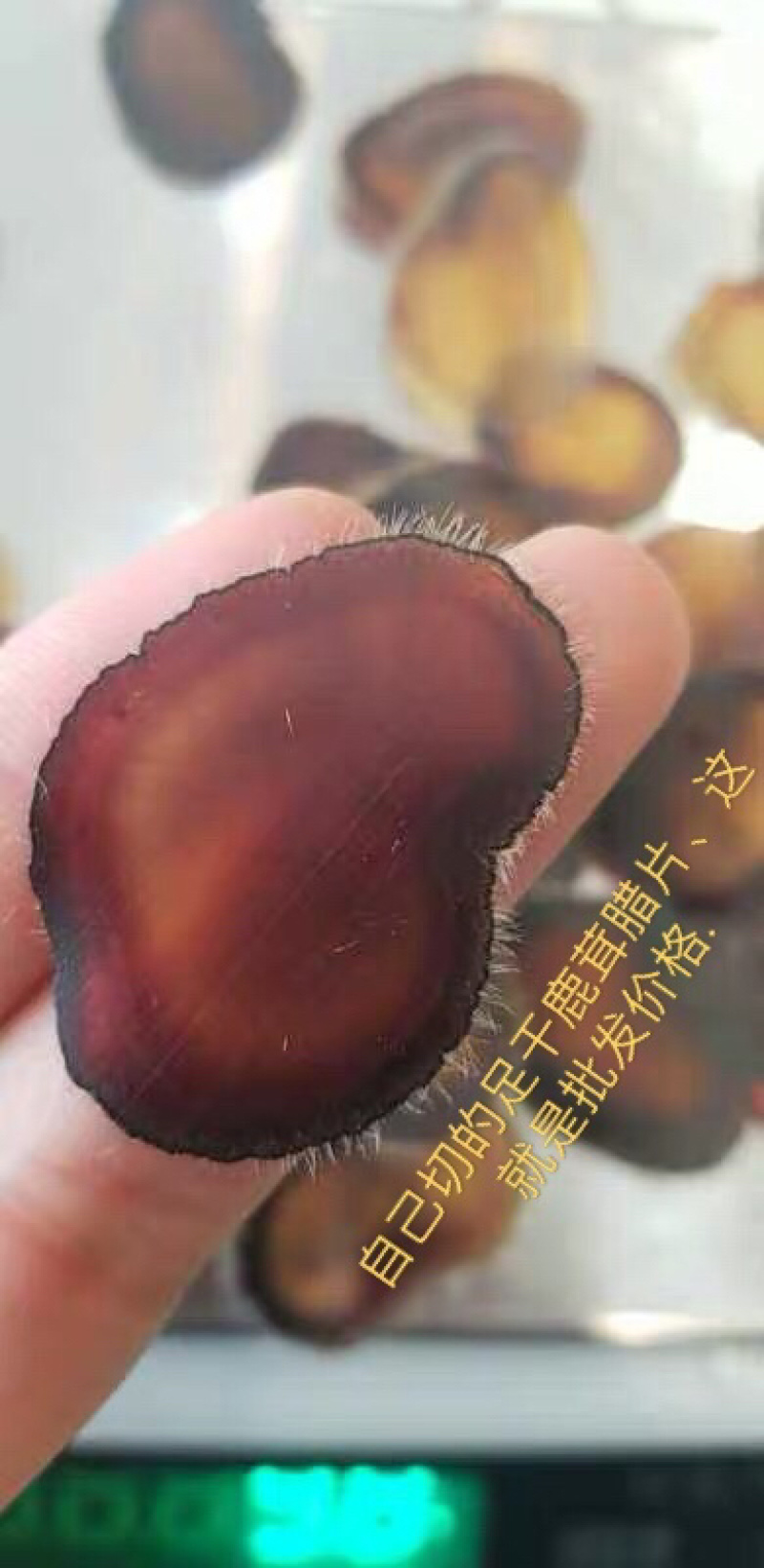 鹿茸片腊片足干东北吉林长春梅花鹿腊片足干腊片包邮