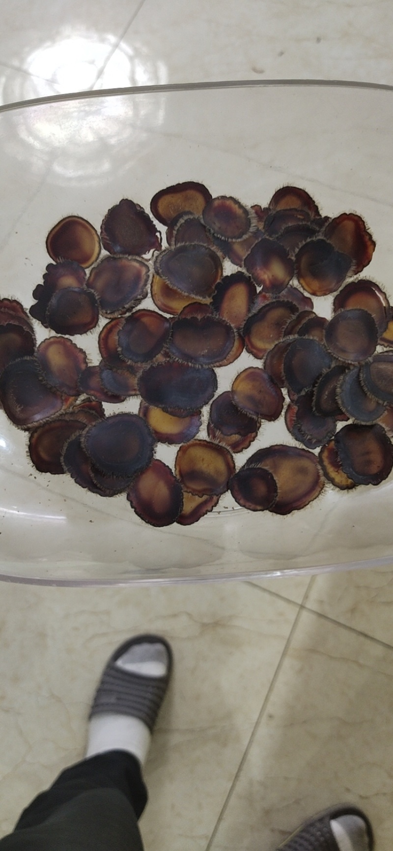 鹿茸片腊片足干东北吉林长春梅花鹿腊片足干腊片包邮