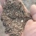 花生秧牛羊马草花生秧草粉不混土质量保证全国发货