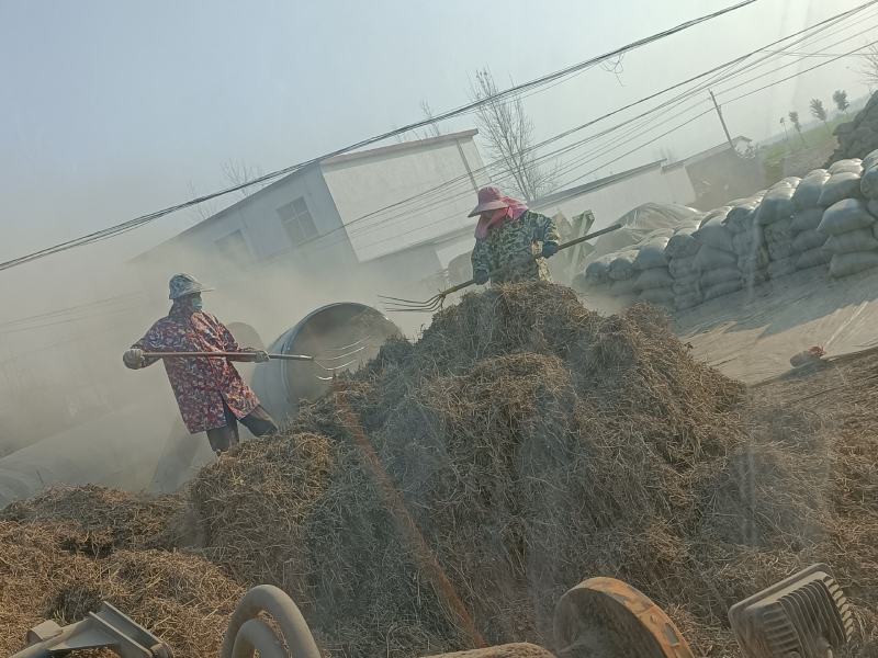 花生秧牛羊马草花生秧草粉不混土质量保证全国发货