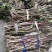 四季树形大毛花，干花现在市场80一斤左右，高产高含量品种