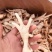 单冻去骨鸡爪脱骨鸡爪，纯干无水，颜色好看