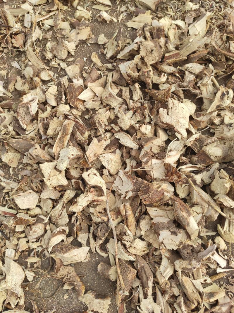 【精品】野生五指毛桃，头根切块，切片，无硫磺。