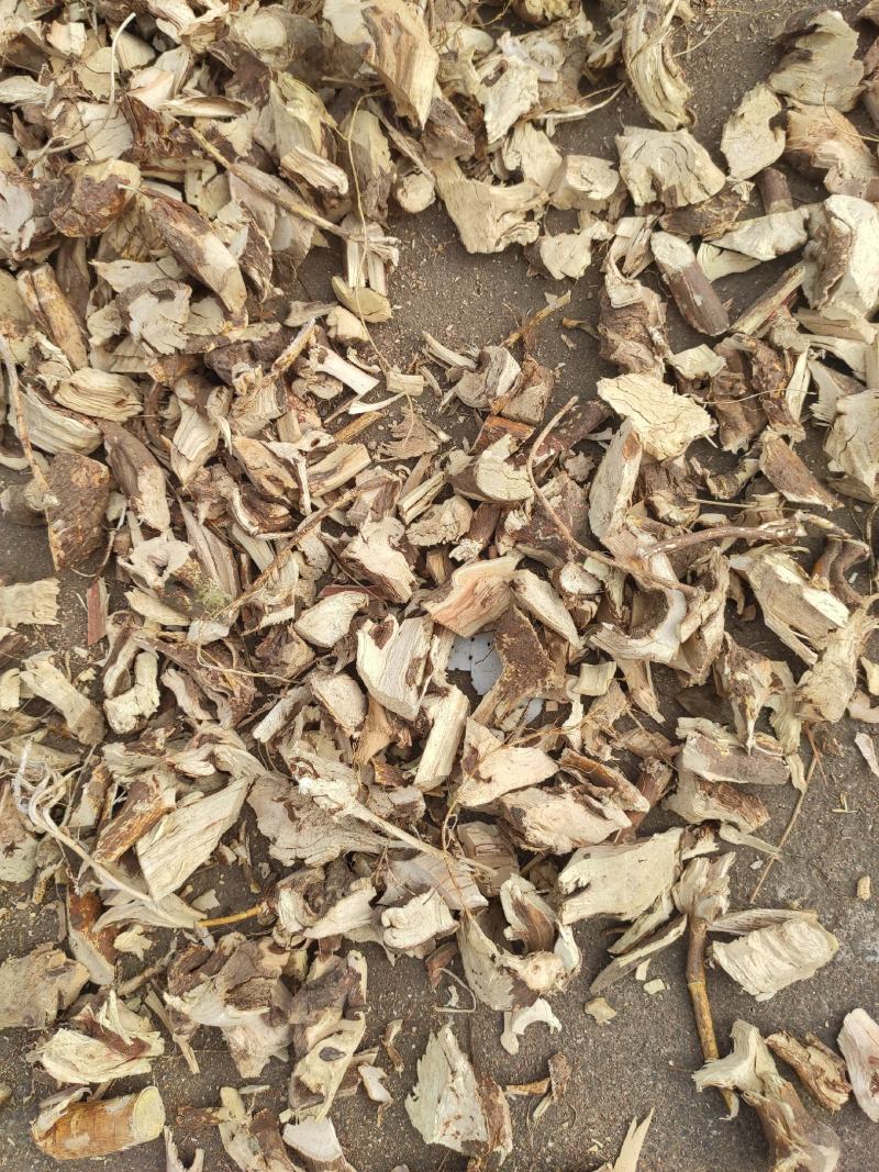 【精品】野生五指毛桃，头根切块，切片，无硫磺。
