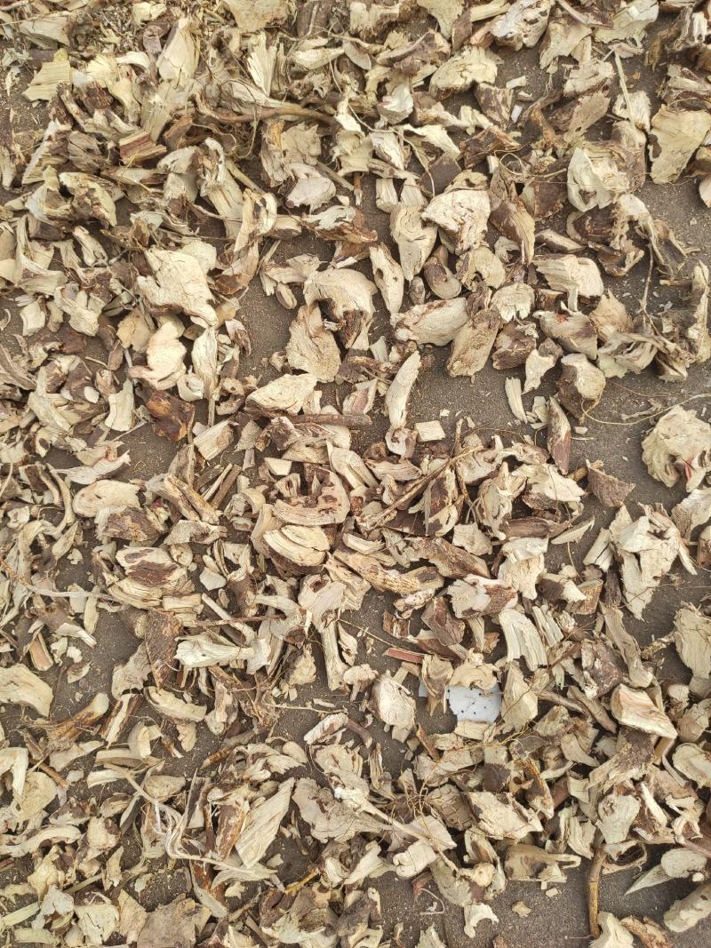 【精品】野生五指毛桃，头根切块，切片，无硫磺。
