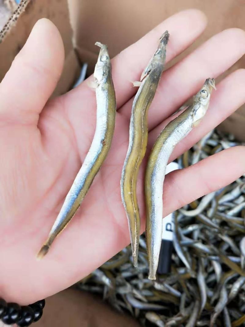 银针鱼青鱼干熟鱼即食产地直发！一手货源大量有货