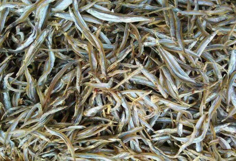 银针鱼青鱼干熟鱼即食产地直发！一手货源大量有货
