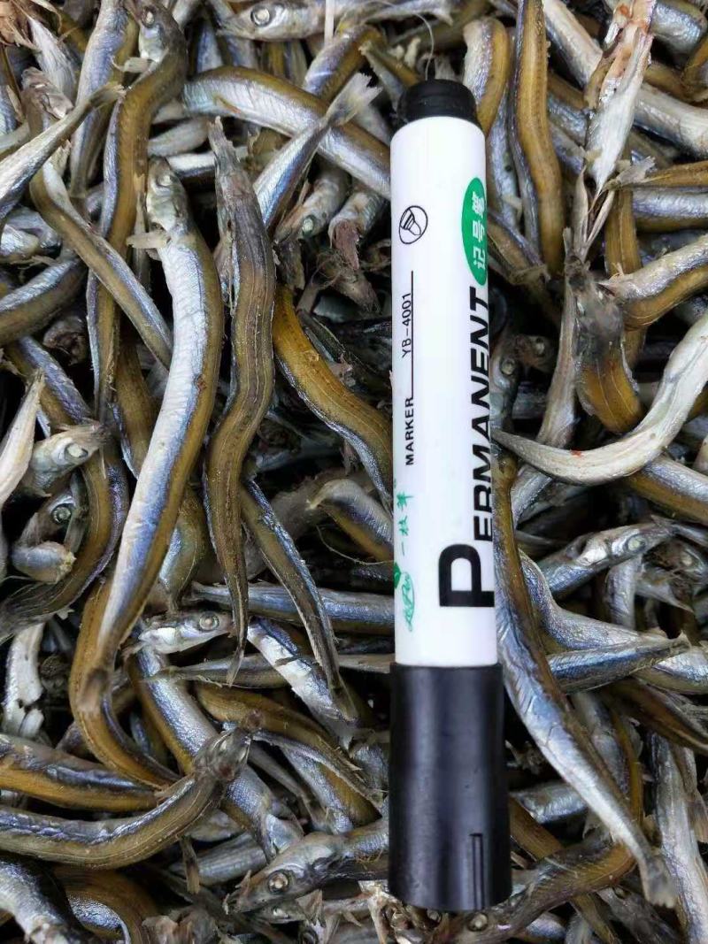 银针鱼青鱼干熟鱼即食产地直发！一手货源大量有货