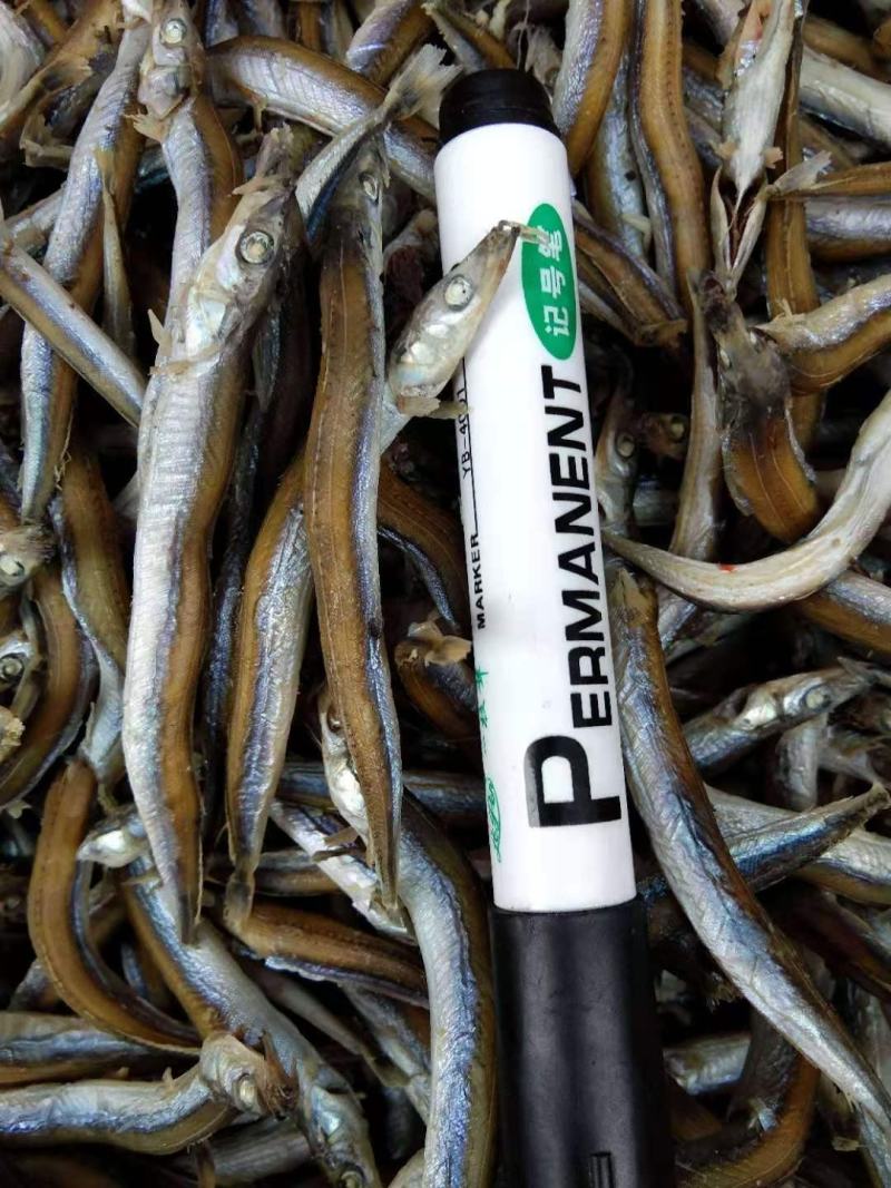 银针鱼青鱼干熟鱼即食产地直发！一手货源大量有货
