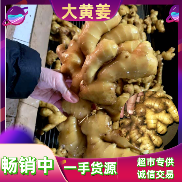 精选生姜产地批发!大黄姜产地批发,质量保证,全国物流发货