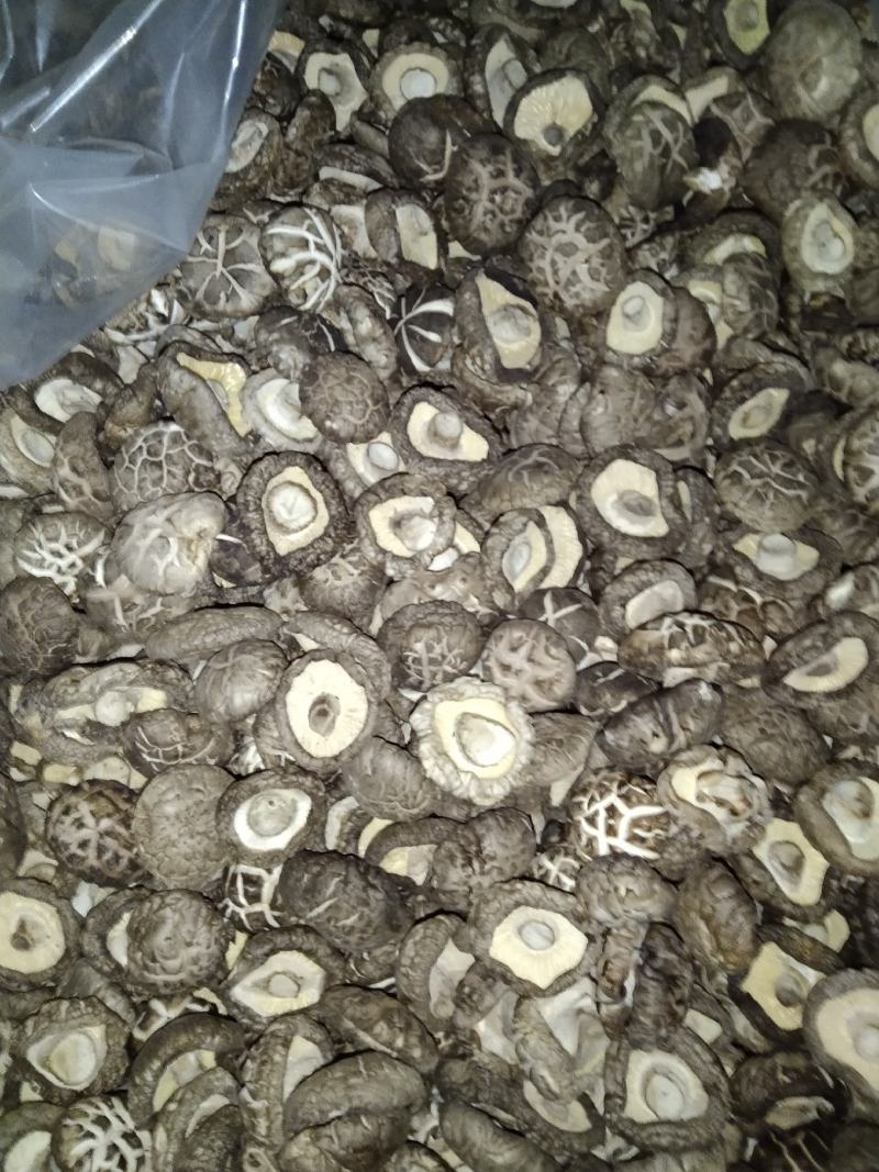河南内乡花菇，茶花菇，干货农户自种，烘干型，香味扑鼻