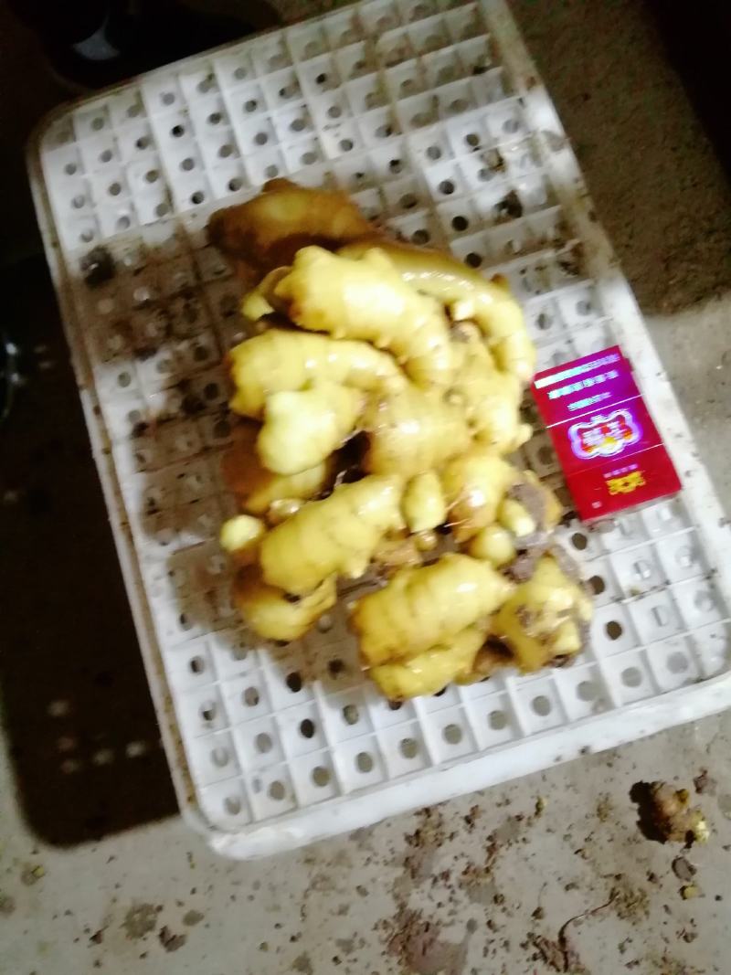 精选生姜产地，一手货源种类多样可供选择全国发货