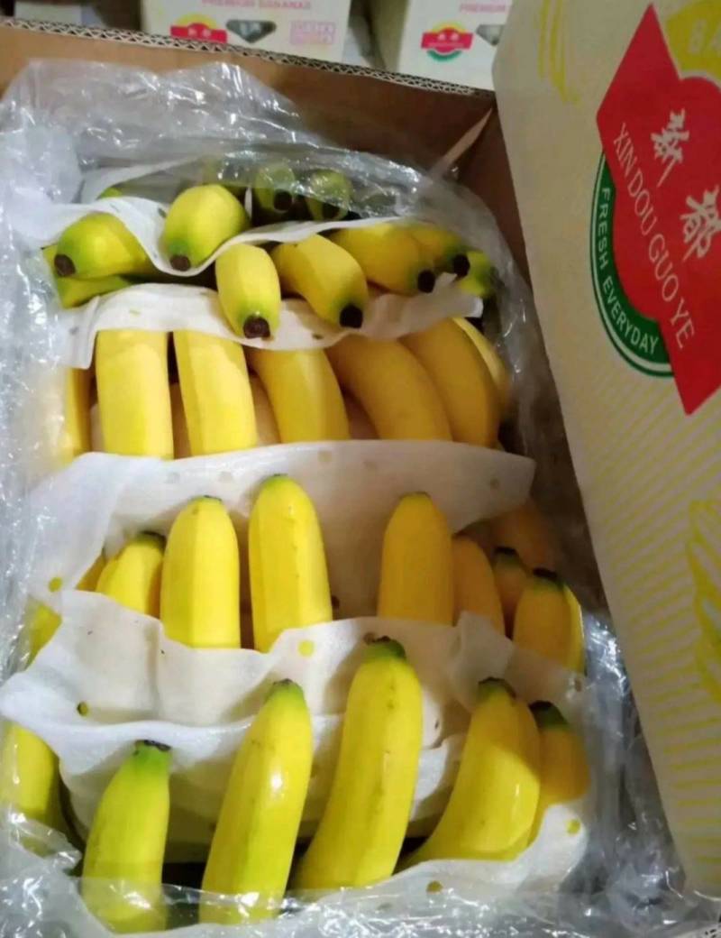 【精选热销】香蕉大量供应各大批发商微商电商自家冷库