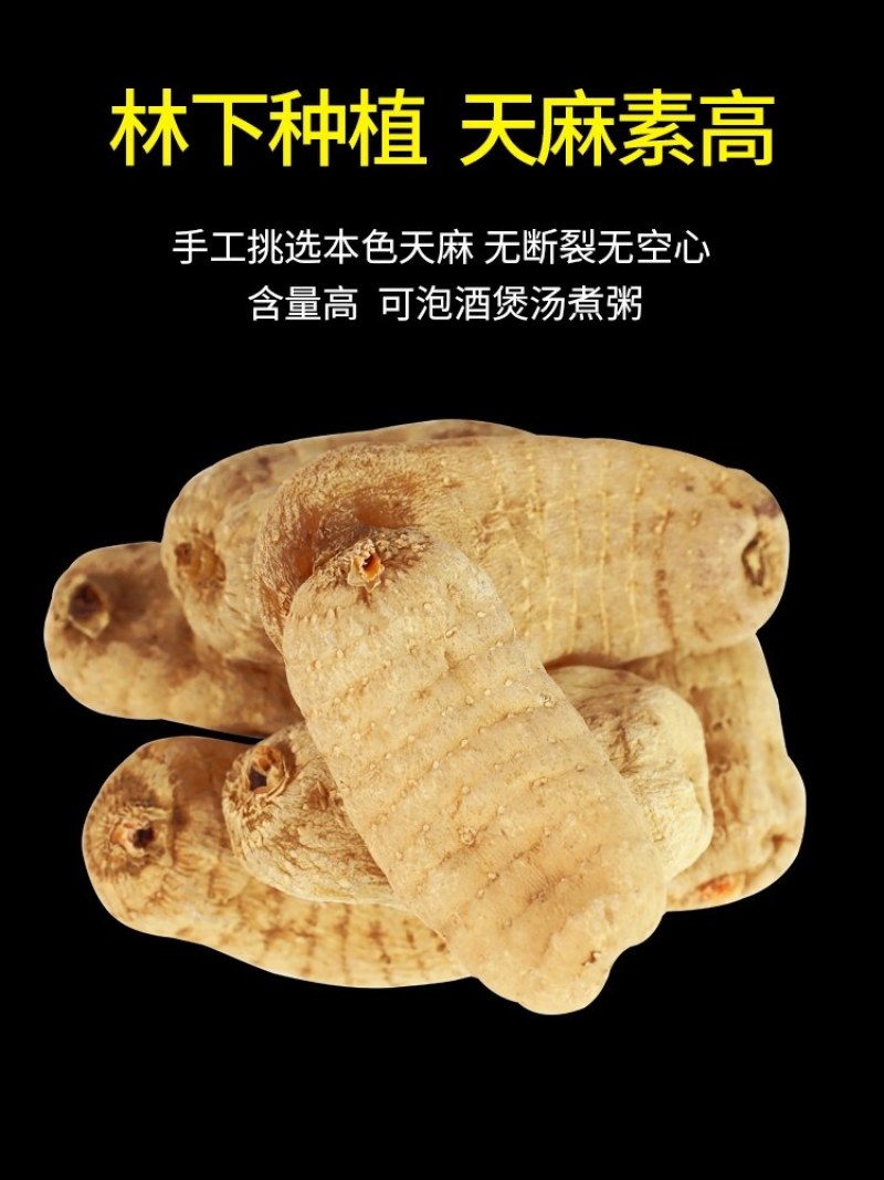 原产地天麻一级产地批发基地直销价格实惠