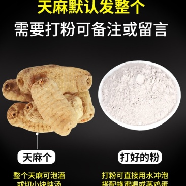原产地天麻一级产地批发基地直销价格实惠