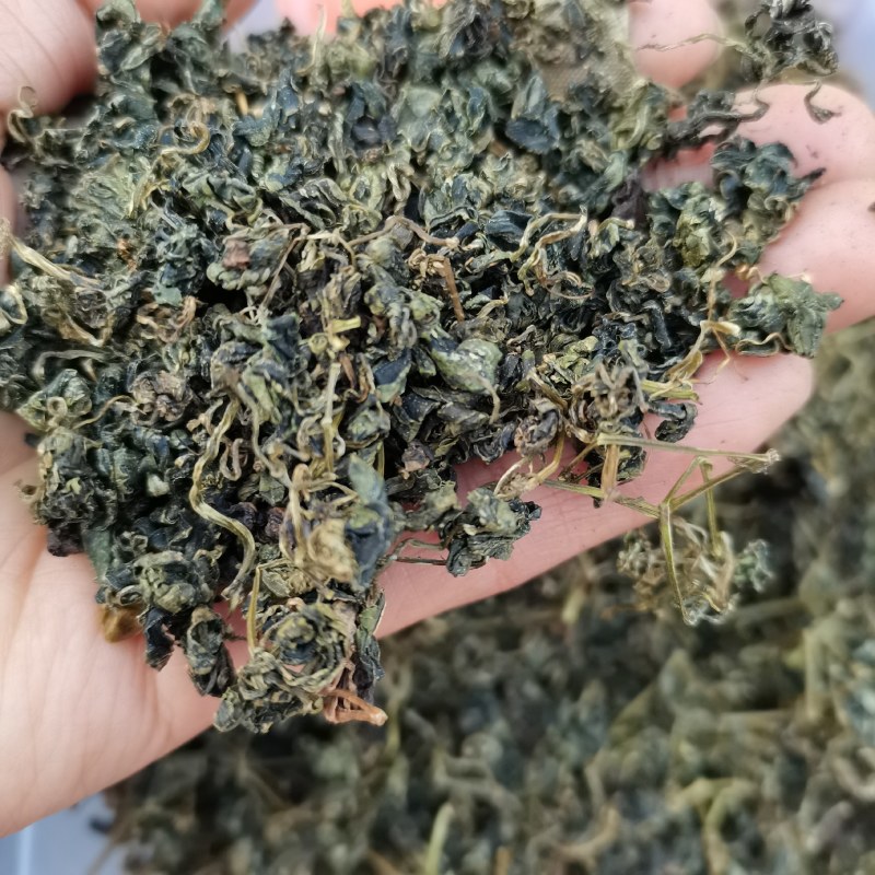 绞股蓝茶绞胡兰泡茶调压干净无杂无尘绞股兰