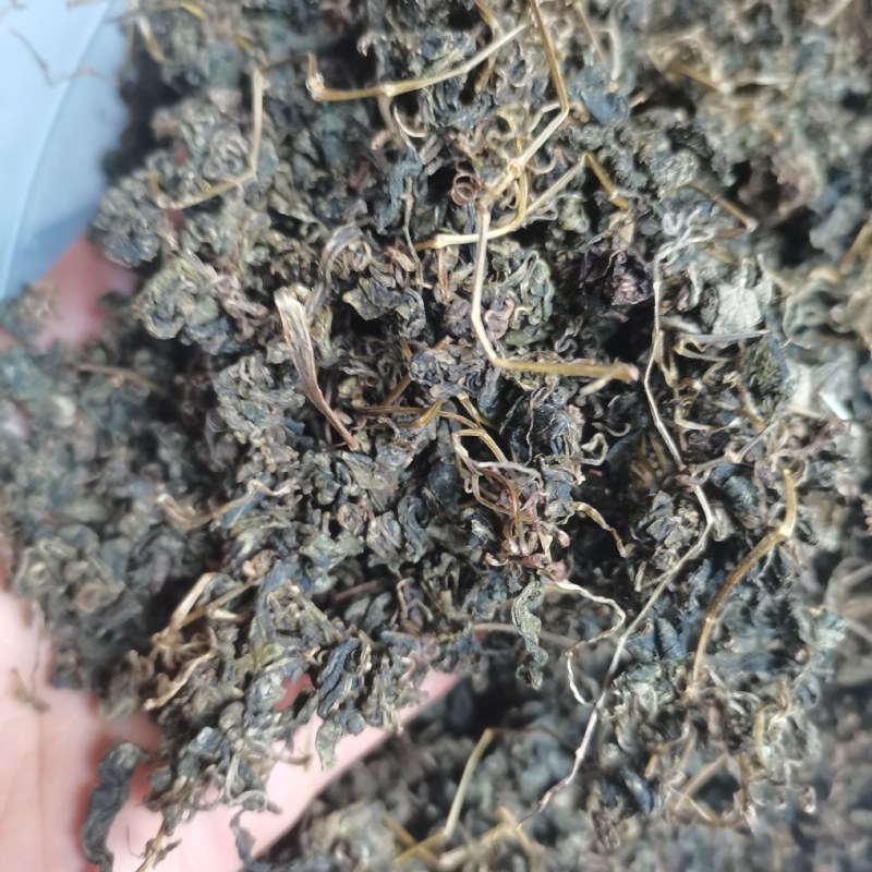 绞股蓝茶绞胡兰泡茶调压干净无杂无尘绞股兰