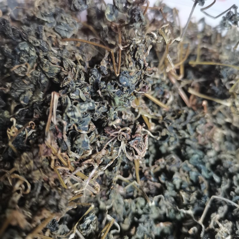 绞股蓝茶绞胡兰泡茶调压干净无杂无尘绞股兰