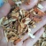 陈皮干净无杂直接泡茶做汤货靓价实味正大货供应