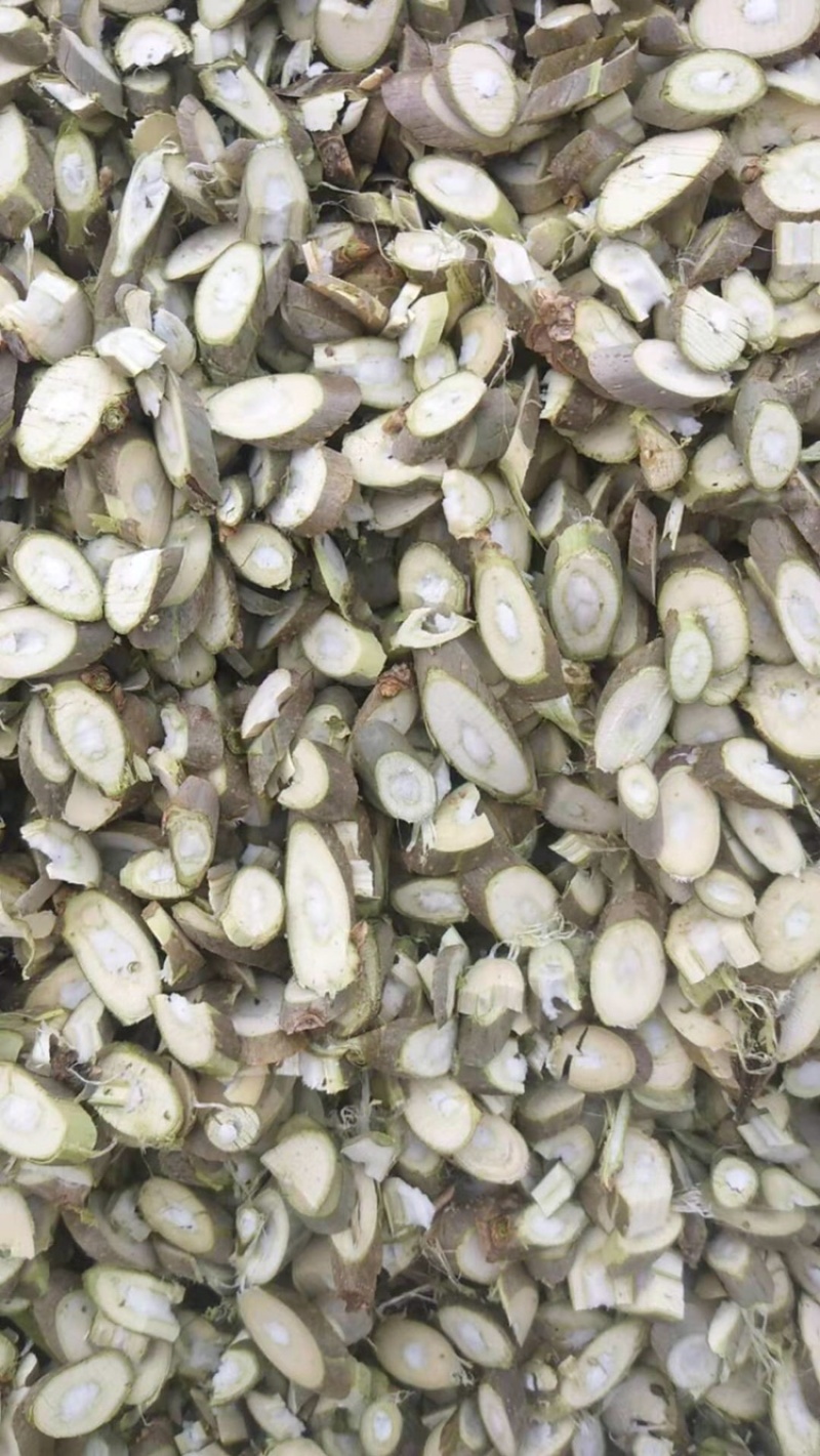 大量长期供应桑枝片无硫统货过筛货量大药用足浴用