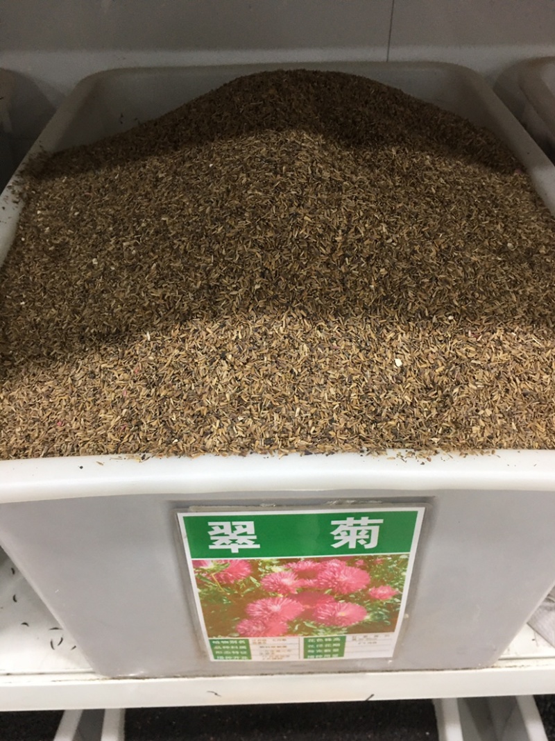 翠菊种子混色重瓣阳台室外庭院好养花卉盆栽四季易活开花不断