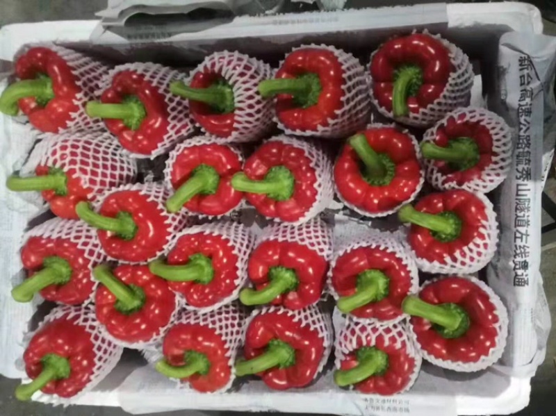 精品五彩椒要的电话联系！质量保证