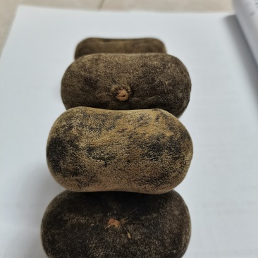 十年陈正金毛化橘红，品质保证