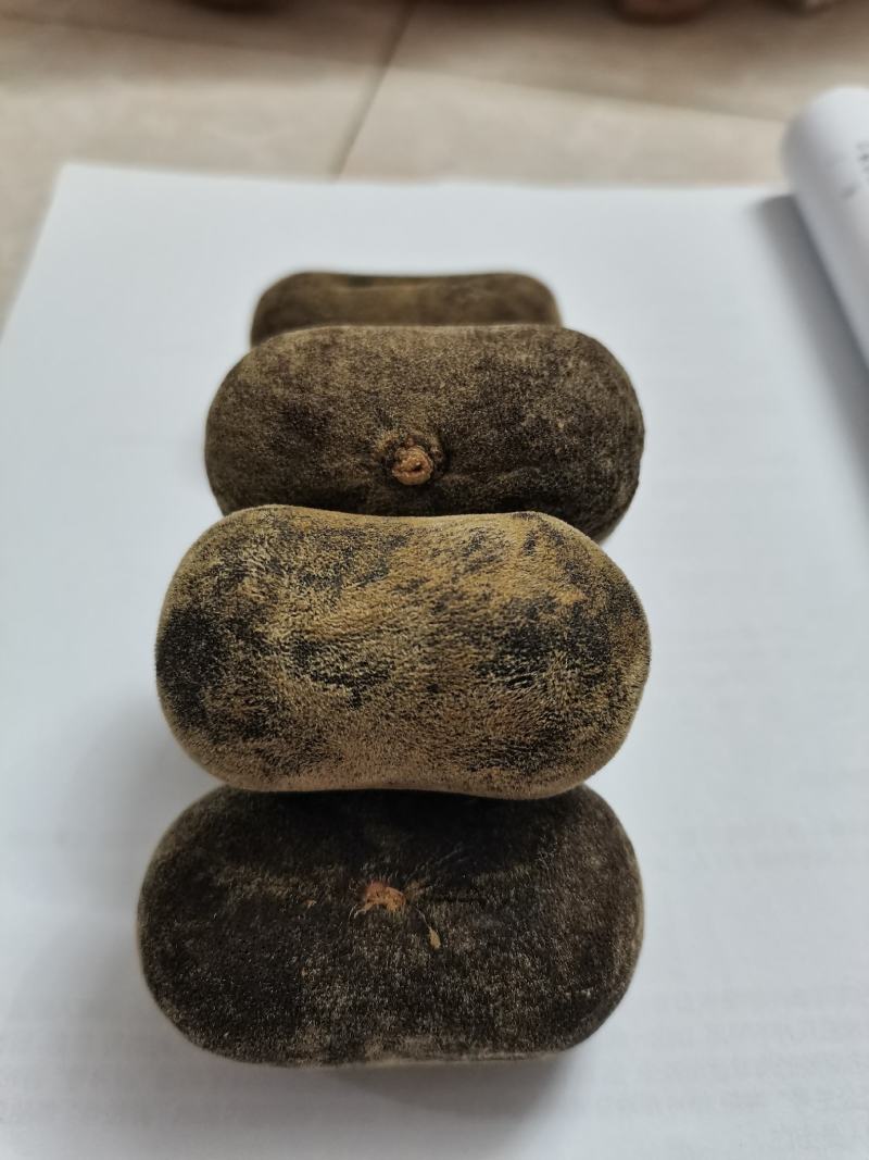 十年陈正金毛化橘红，品质保证