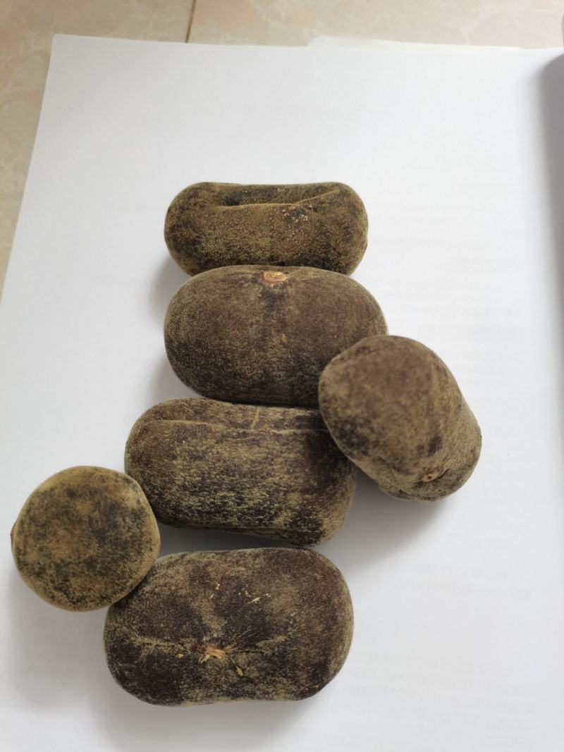 十年陈正金毛化橘红，品质保证