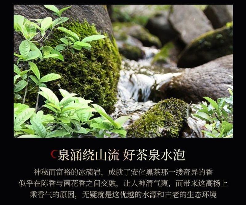 【牛商优选】湖南碧云霄安化黑茶十两装，自产自销，全国供应