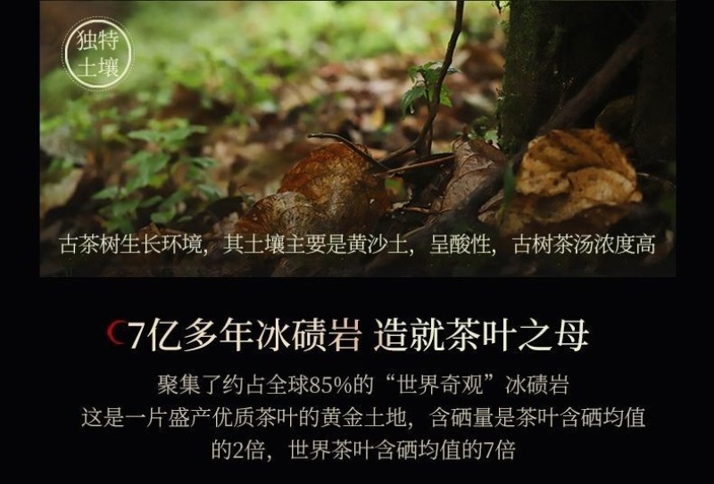 【牛商优选】湖南碧云霄安化黑茶十两装，自产自销，全国供应