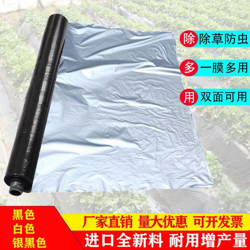 地膜除草膜银黑膜黑膜白膜蔬菜瓜果草莓专用膜银灰膜包邮