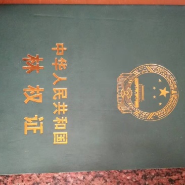 低价转让千亩山地，含已办理林权证林地405亩
