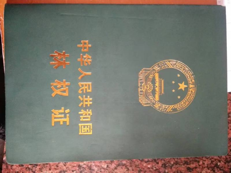 低价转让千亩山地，含已办理林权证林地405亩