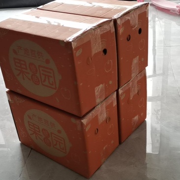 香橙红心橙纽荷尔崀山脐橙