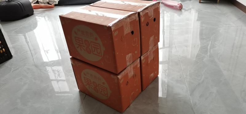 香橙红心橙纽荷尔崀山脐橙