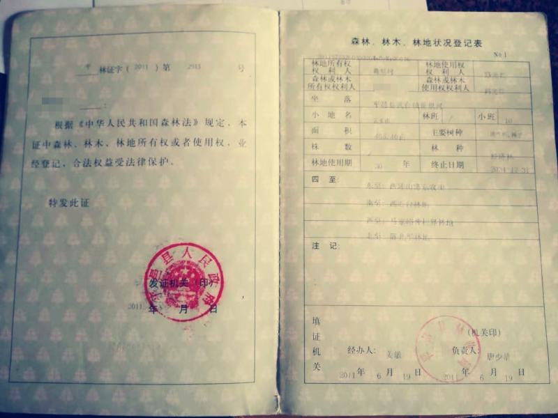 低价转让千亩山地，含已办理林权证林地405亩