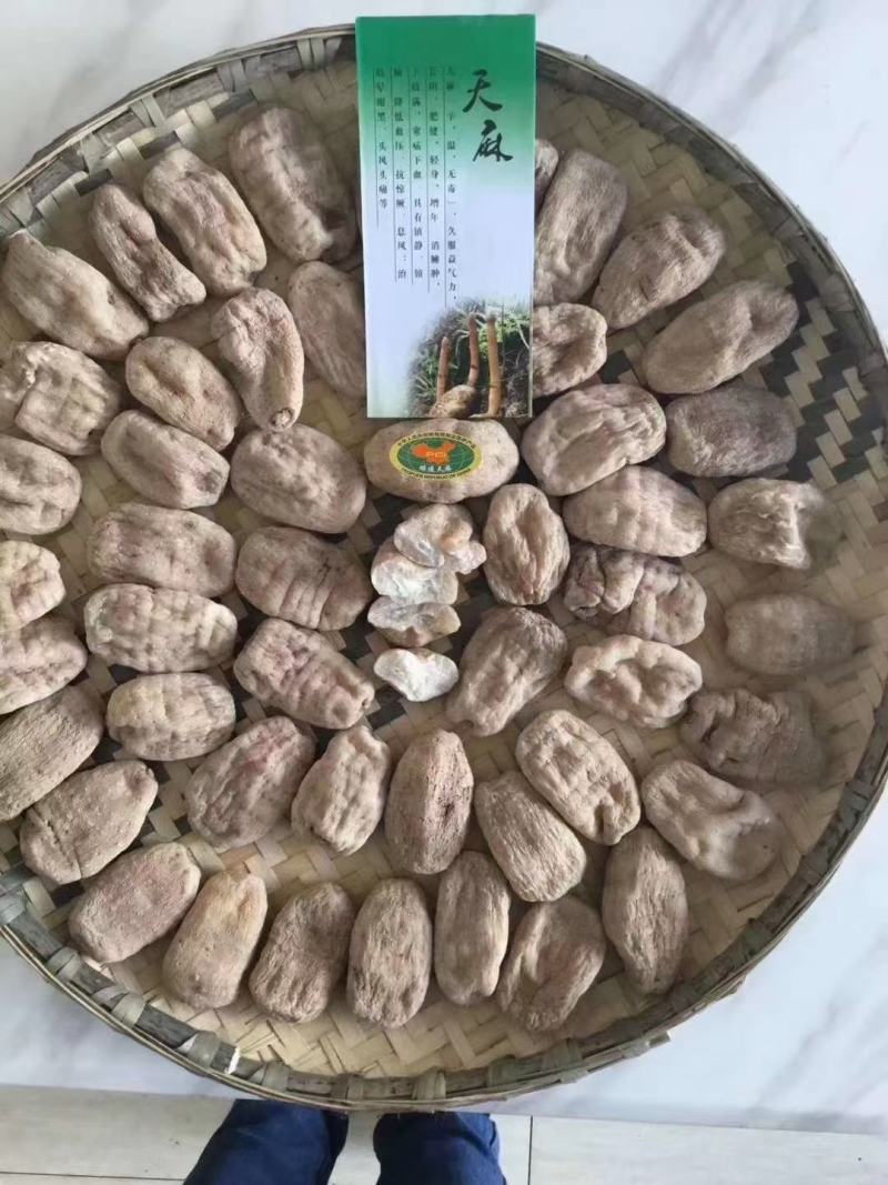 正宗昭通小草坝天麻干天麻各种规格礼盒包装