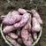 云南大理剑川两干七百米海拨，以农家肥为主种出的七彩土豆