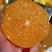 橙子雷波脐橙看货采摘保质保量欢迎订购致电优惠