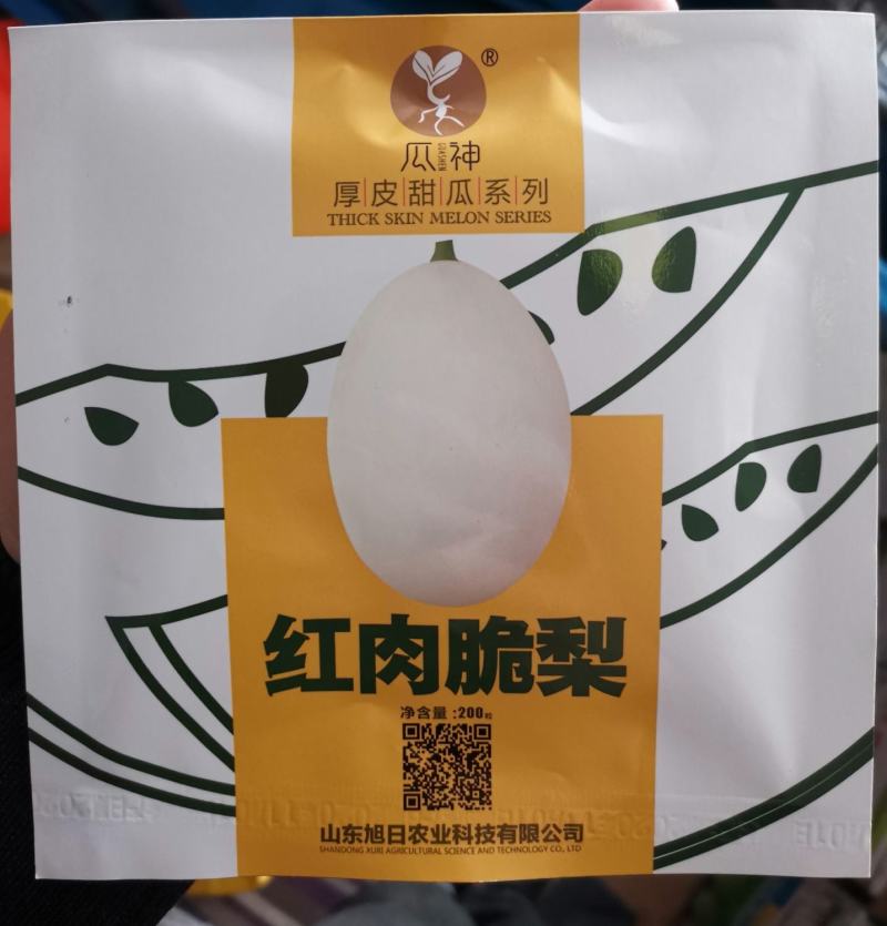 厚皮甜瓜红肉脆梨东方蜜一号黄金蜜博洋61甜度高