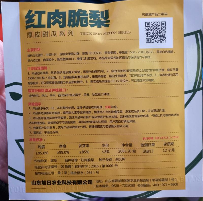厚皮甜瓜红肉脆梨东方蜜一号黄金蜜博洋61甜度高