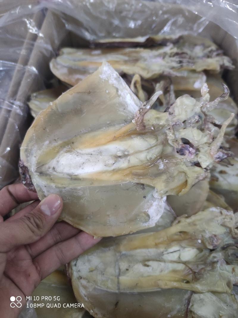 广西北海深海墨鱼干平板墨鱼干淡晒墨鱼干质量保证
