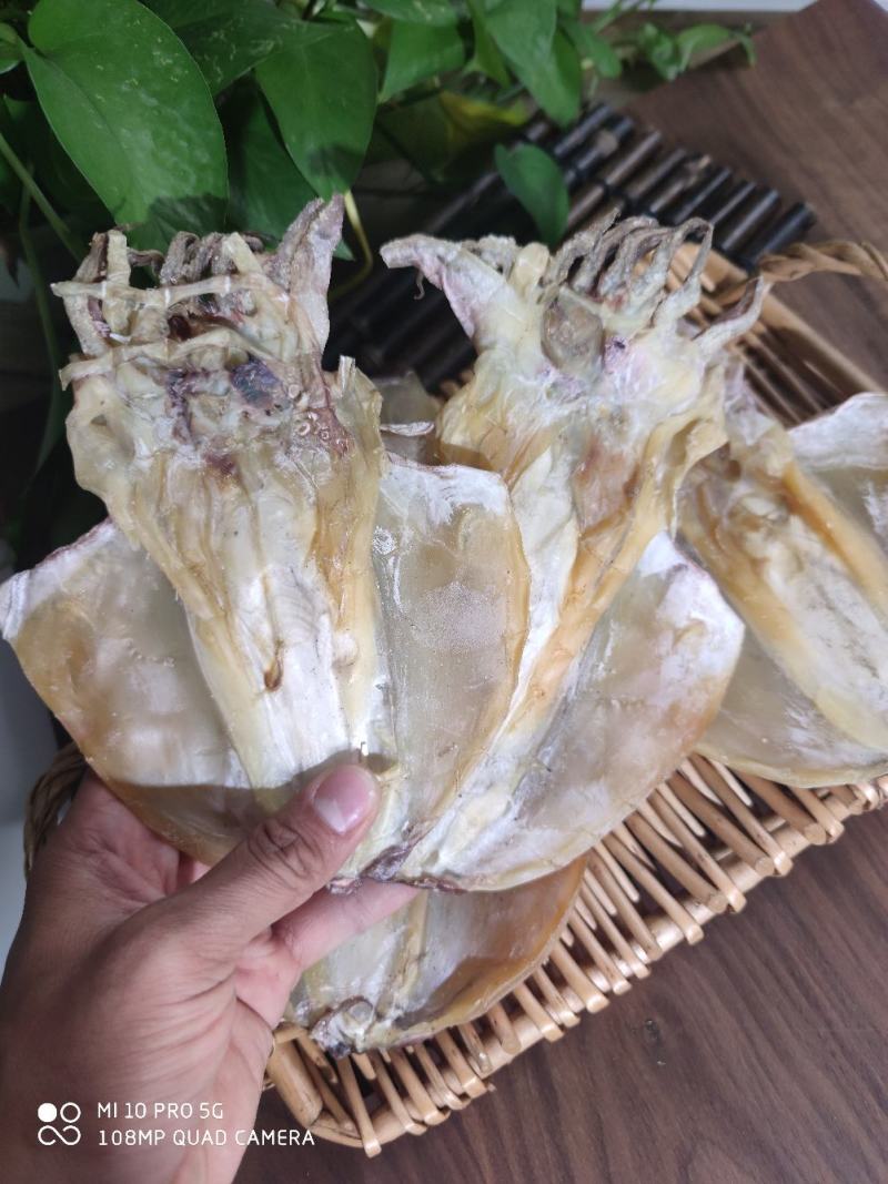 广西北海深海墨鱼干平板墨鱼干淡晒墨鱼干质量保证