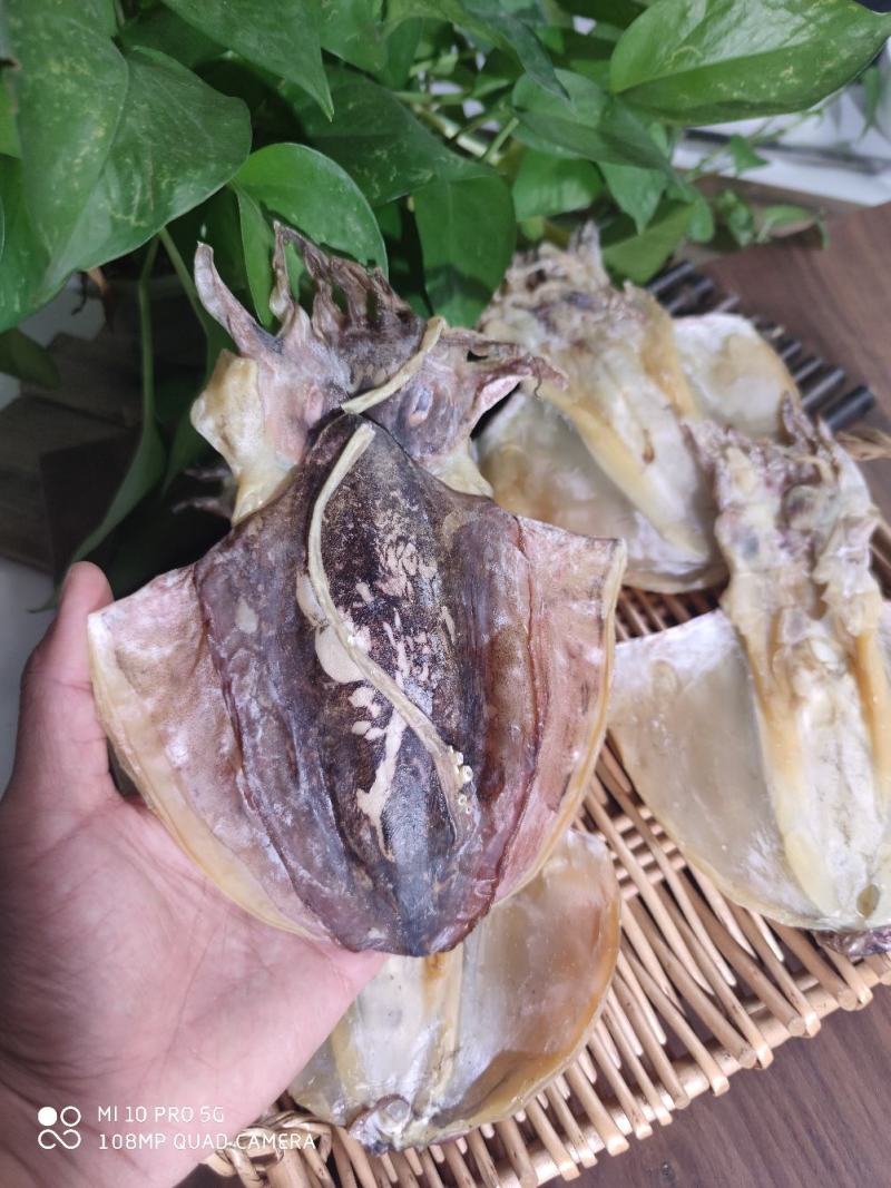 广西北海深海墨鱼干平板墨鱼干淡晒墨鱼干质量保证