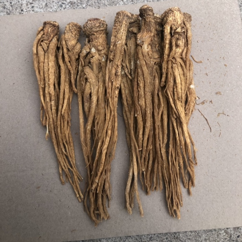 【精选】正宗岷县当归水洗有硫黄当归水洗无硫当归欢迎选购