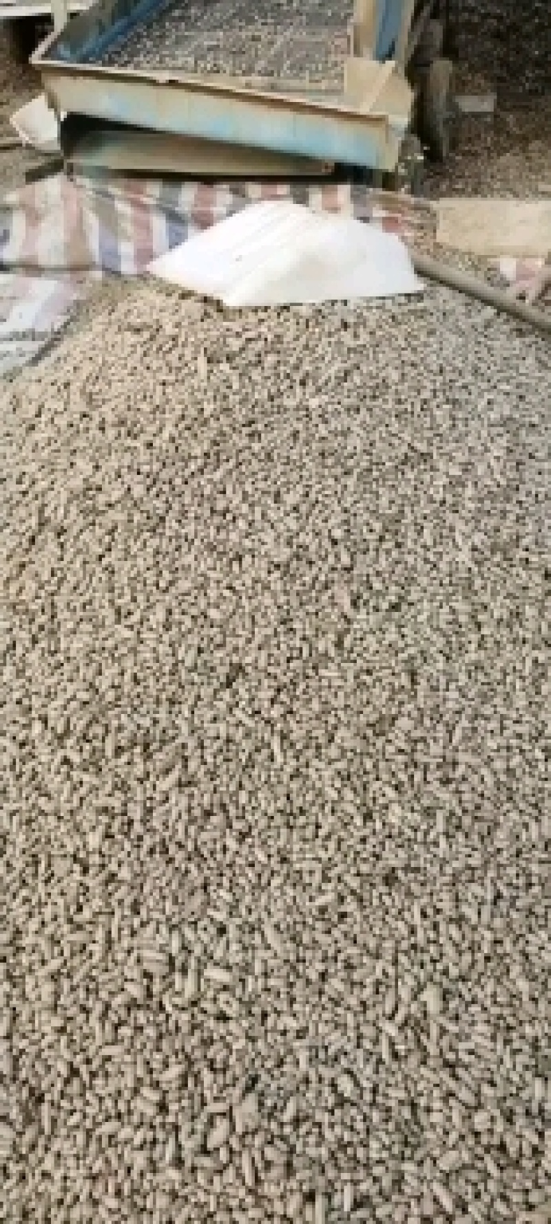 小白嘴大小混豆营养丰富