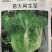 意大利生菜种子，耐热半结球，无苦味，净菜率高，商品性佳