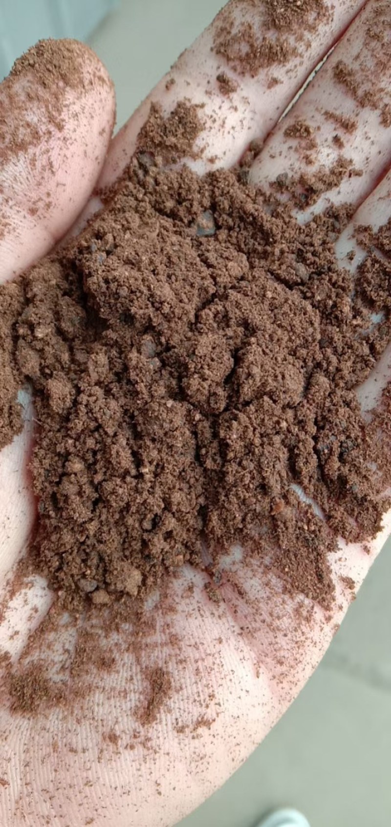 棕榈粕，印度尼西亚进口高纯度饼粕，原包装